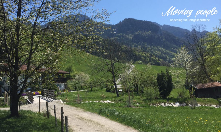 Neue-Wege-Coaching-München